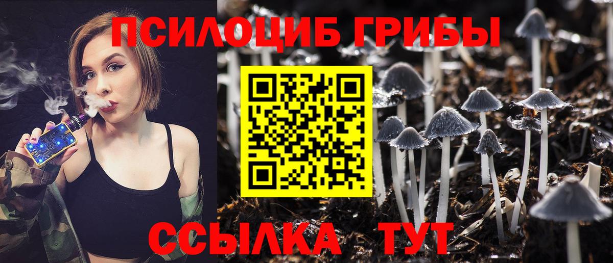 Зима  Галлюциногенные грибы Magic Shrooms  Вход с VPN 