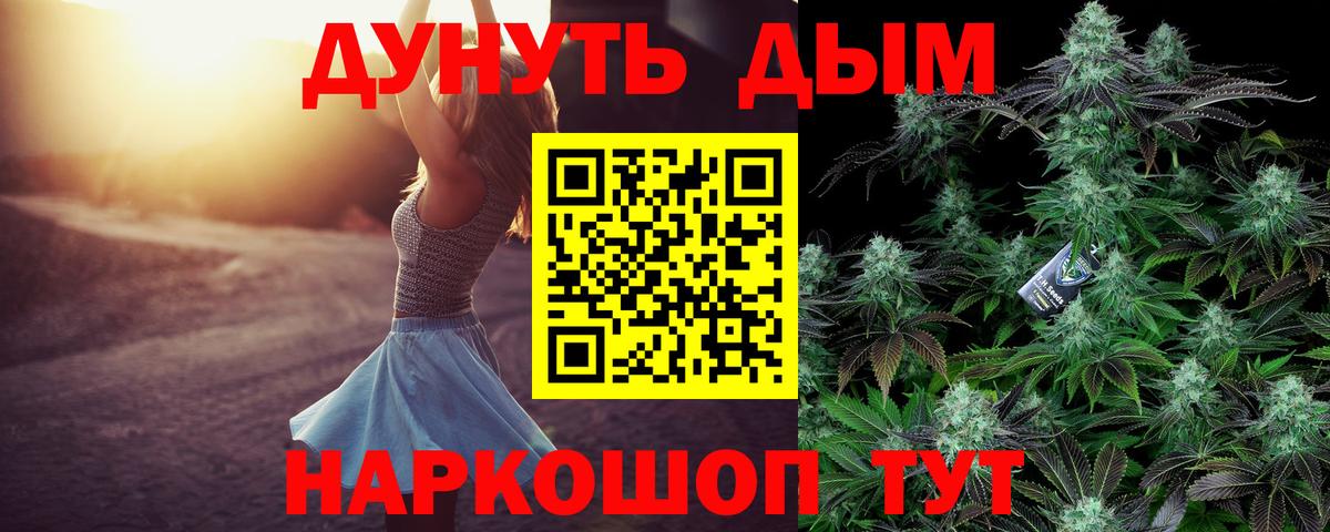 Конопля OG Kush  Канабис конопля  Зима  Каннабис MAZAR  Вход с VPN 