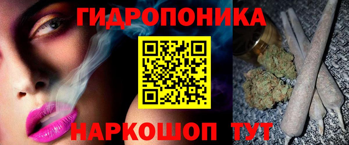 Шишки марихуана гибрид Зима